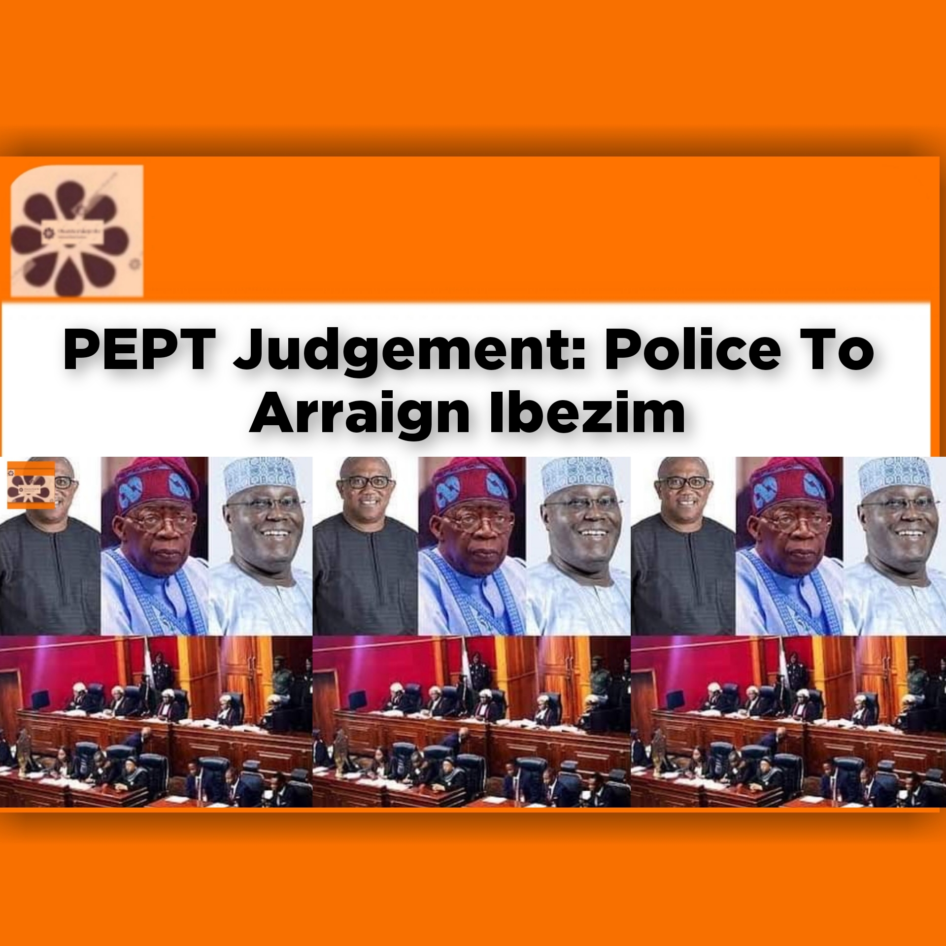 PEPT Judgement: Police To Arraign Ibezim ~ OsazuwaAkonedo #2023Election #Babatunde #Chile #Emmanuel #Fashola #Ibezim #PEPT #Tribunal
