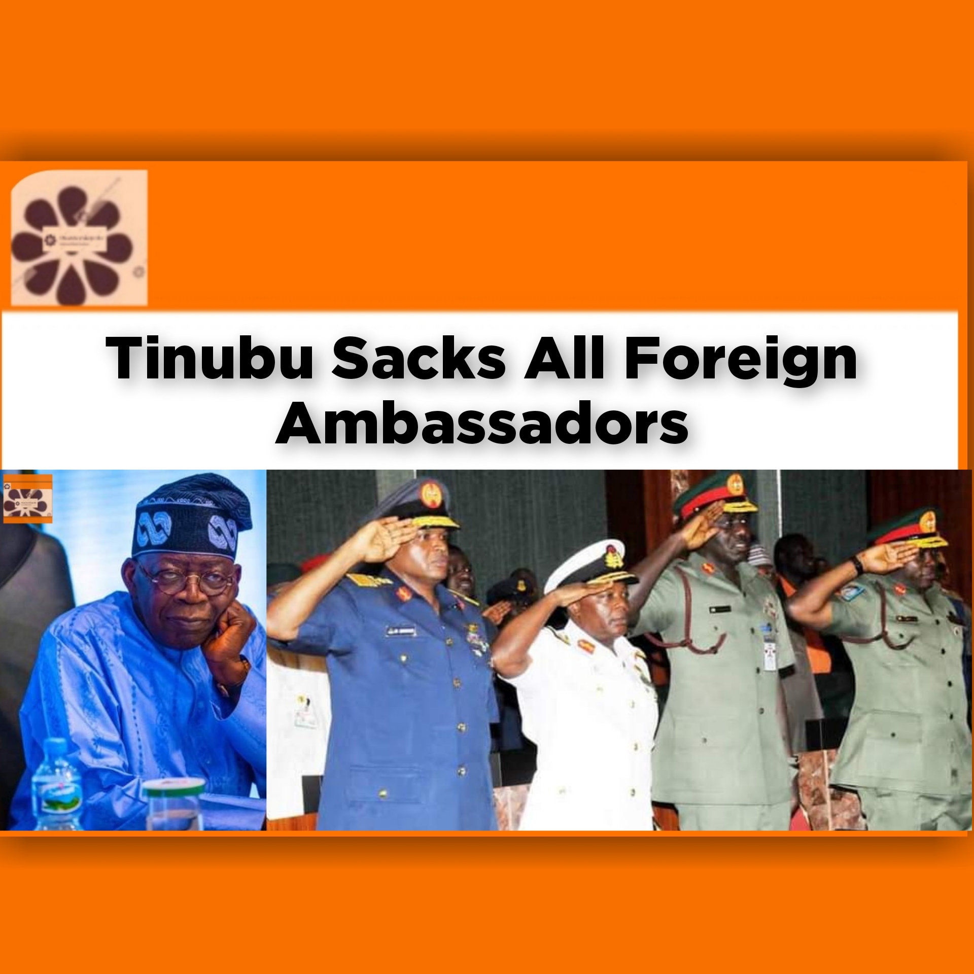 Tinubu Sacks All Foreign Ambassadors ~ OsazuwaAkonedo Nigeria Newspapers