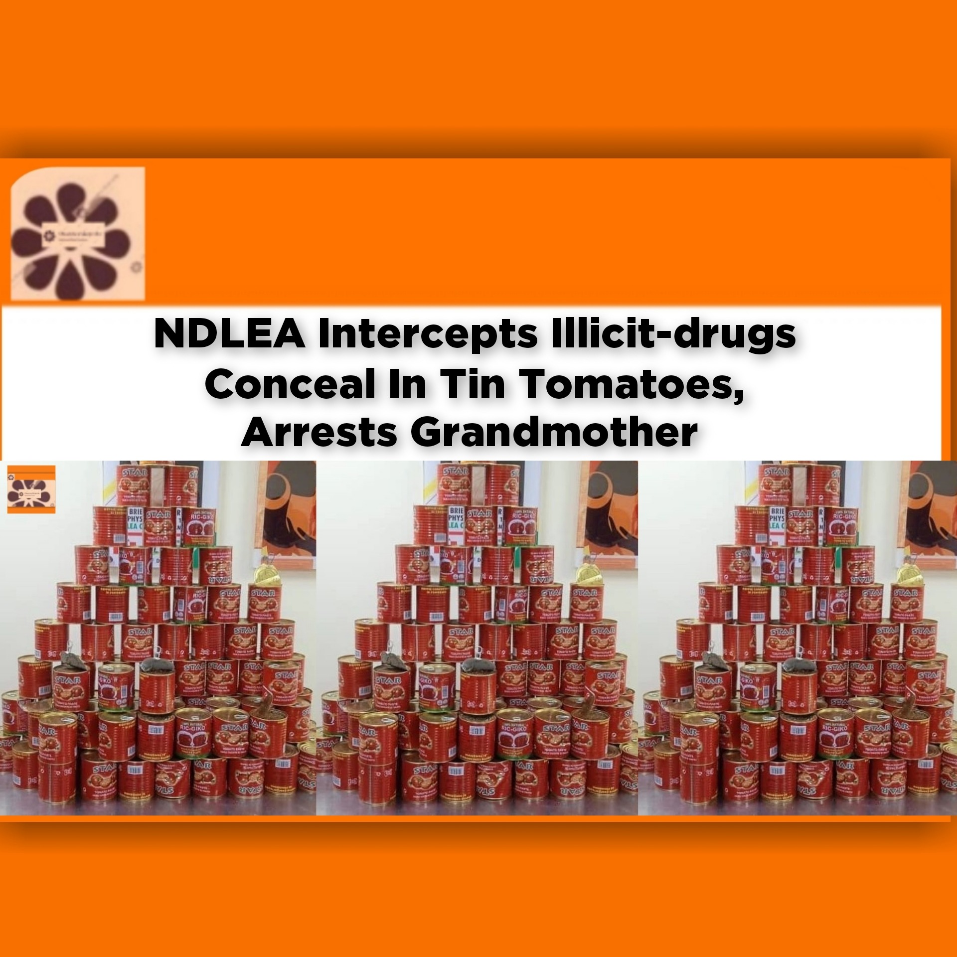 NDLEA Intercepts Illicit-drugs Conceal In Tin Tomatoes, Arrests Grandmother