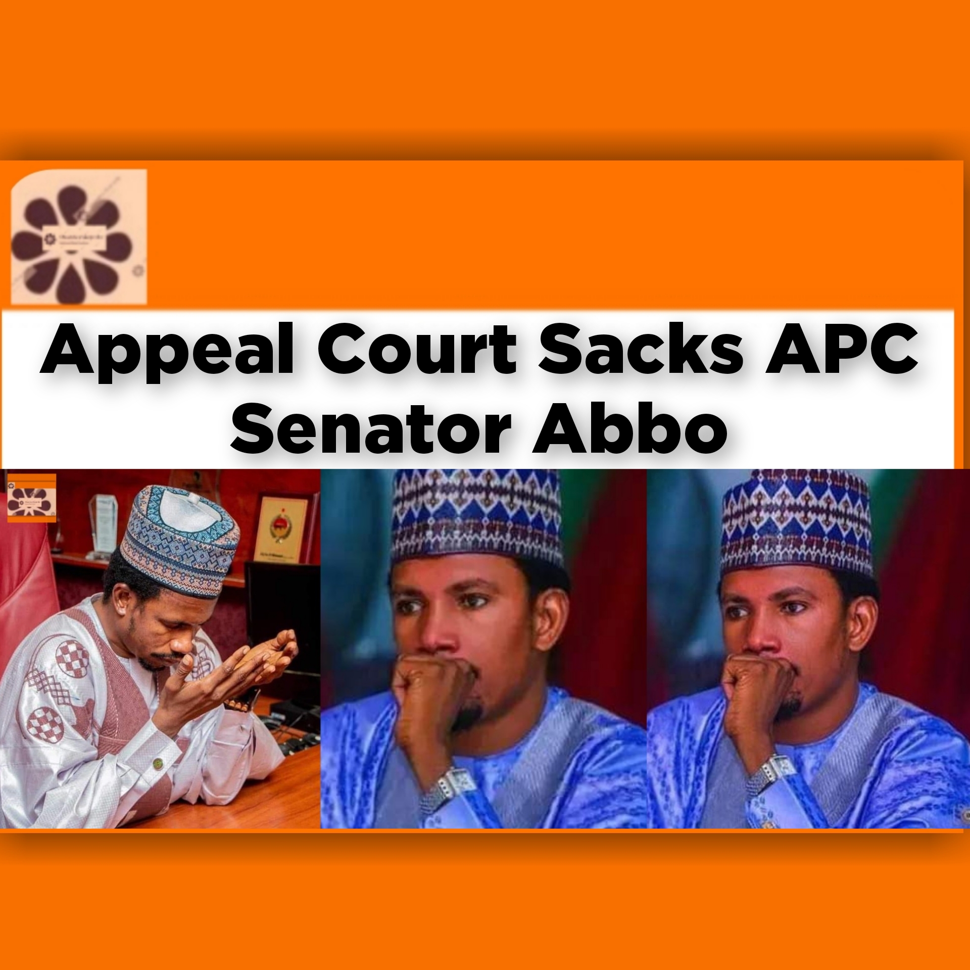 Appeal Court Sacks APC Senator Abbo ~ OsazuwaAkonedo #2023Election #Abbo #Adamawa #Amos #APC #Court #Ishaku #Kumari #PDP #Senate #Yohanna