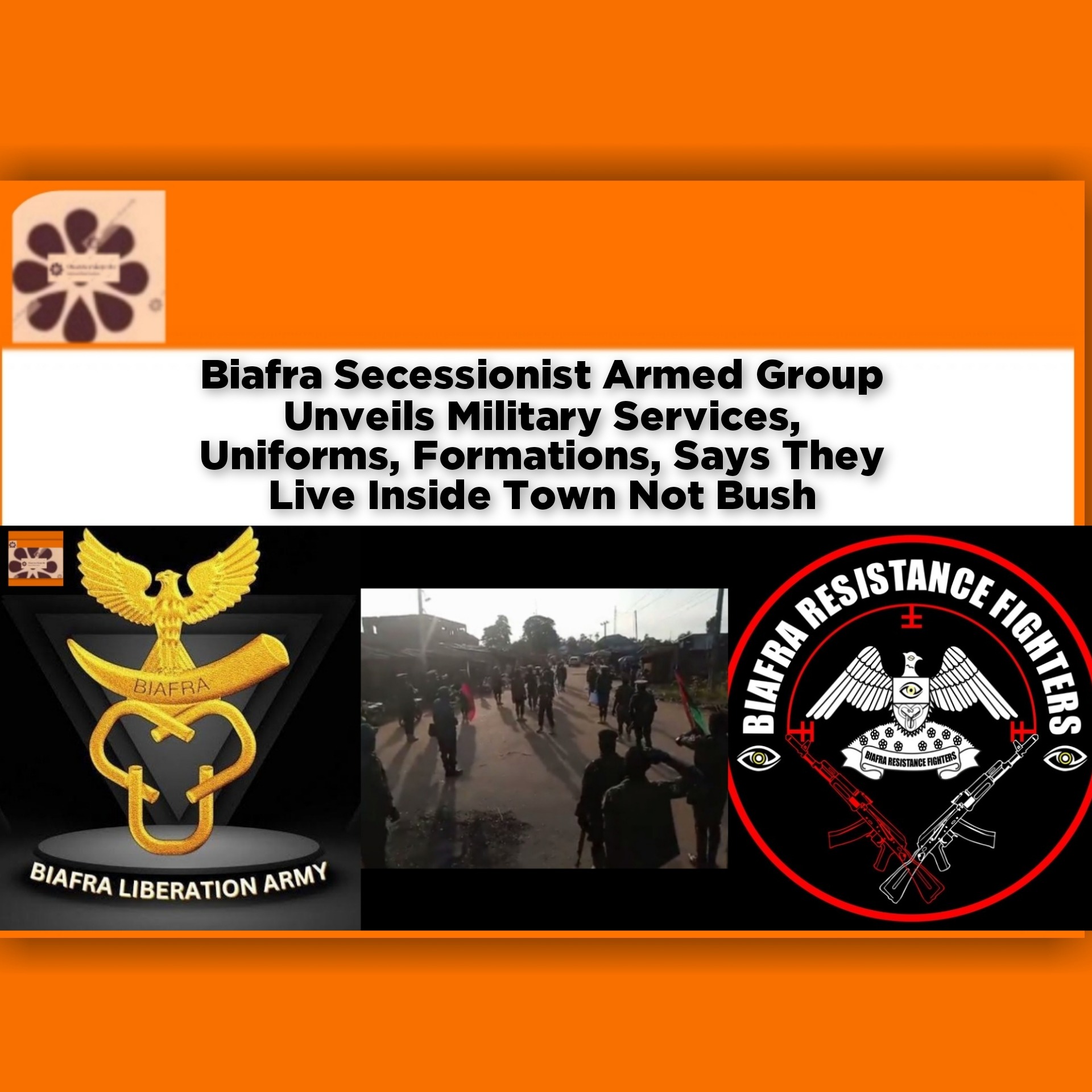 Biafra Secessionist Armed Group Unveils Military Services, Uniforms, Formations, Says They Live Inside Town Not Bush