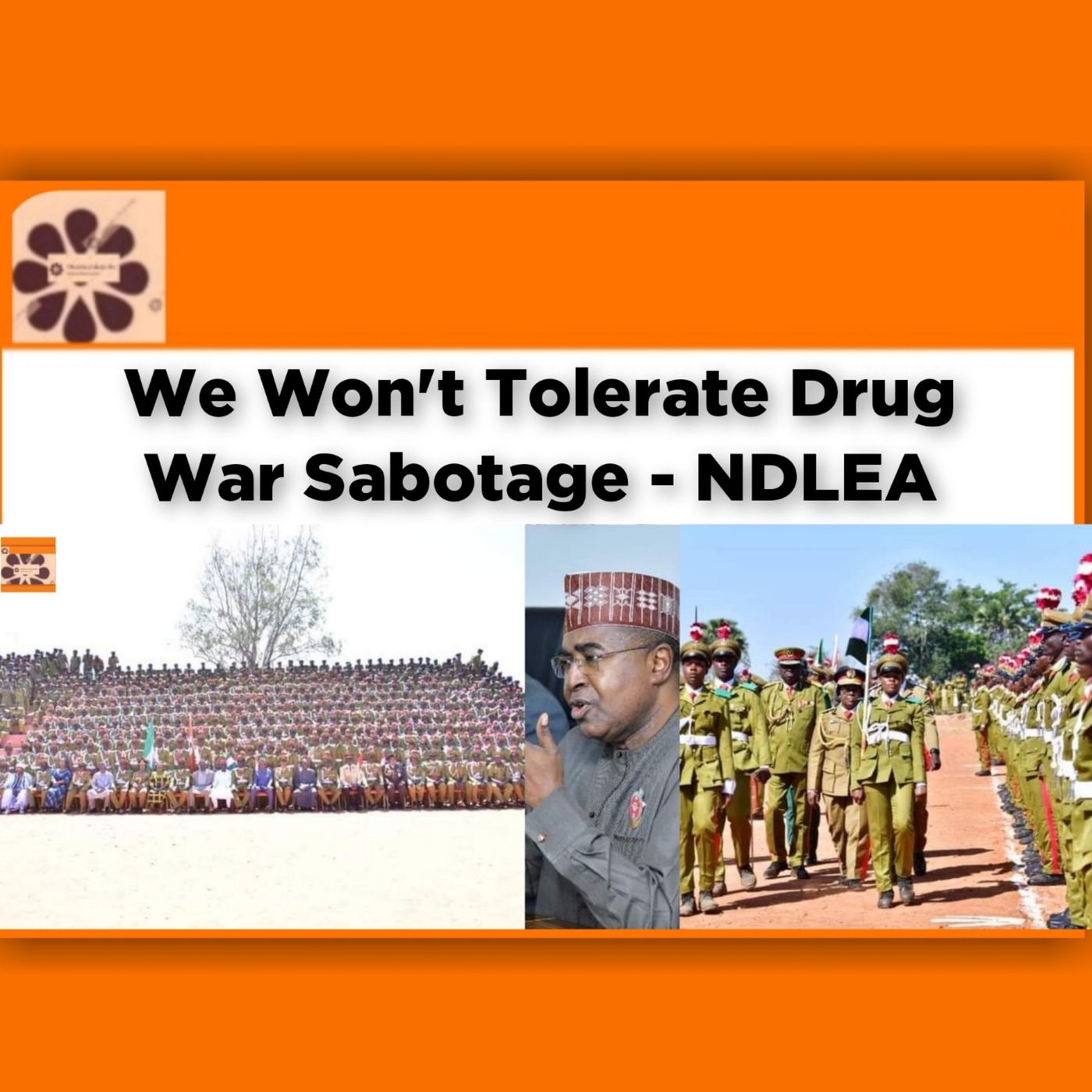We Won't Tolerate Drug War Sabotage - NDLEA ~ OsazuwaAkonedo