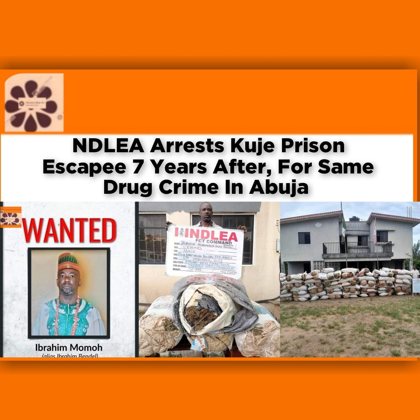 NDLEA Arrests Kuje Prison Escapee 7 Years After, For Same Drug Crime In Abuja ~ OsazuwaAkonedo