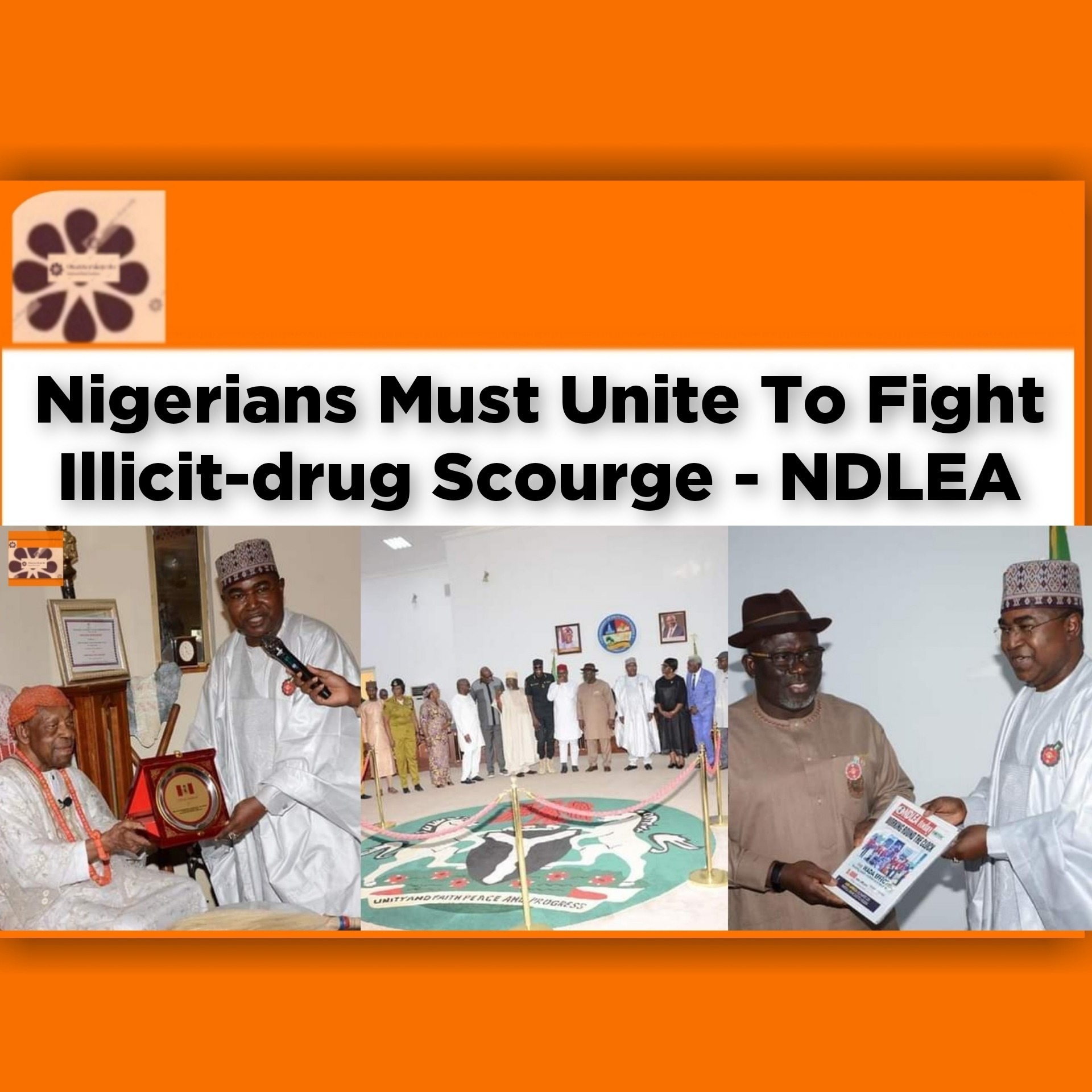 Nigerians Must Unite To Fight Illicit-drug Scourge - NDLEA