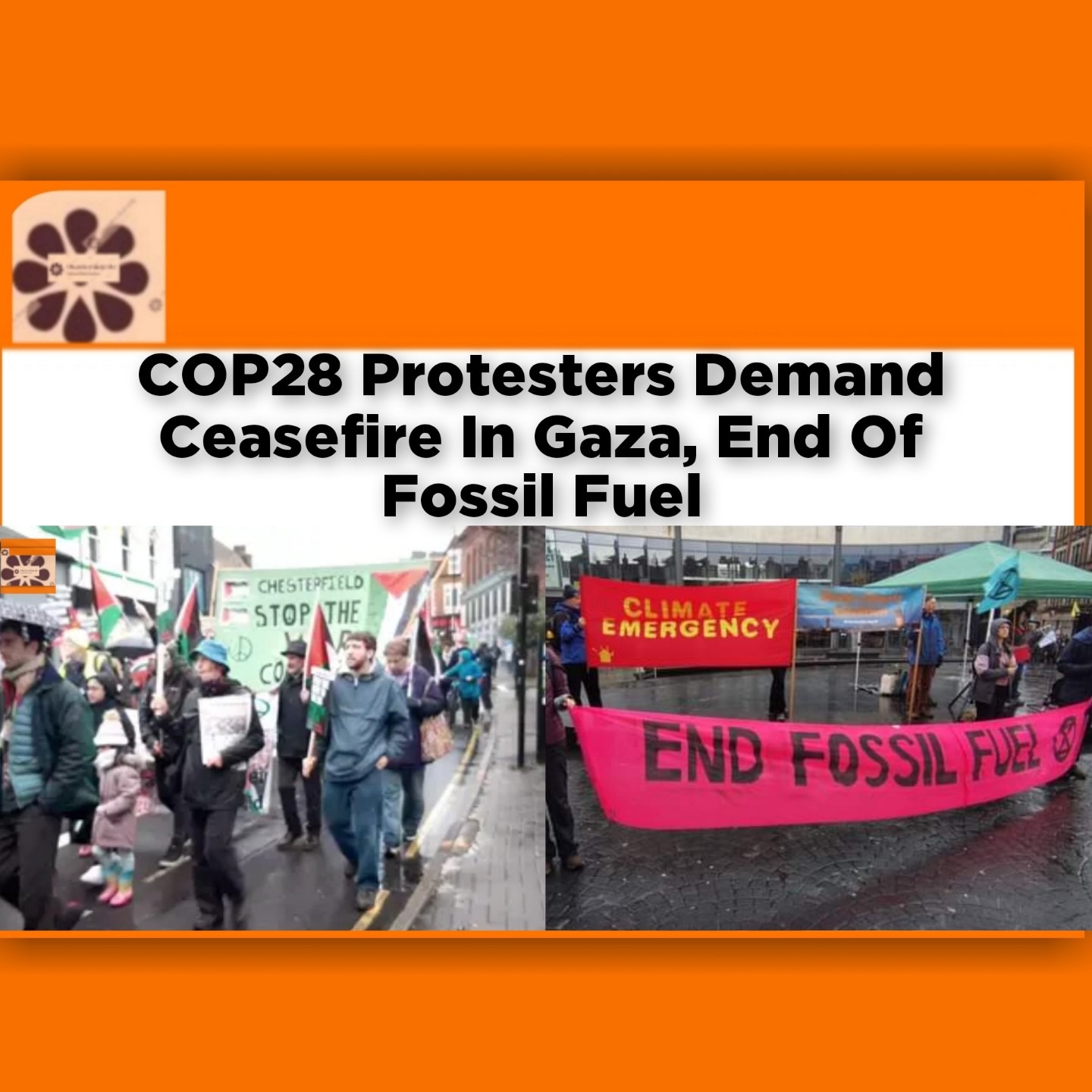 COP28 Protesters Demand Ceasefire In Gaza, End Of Fossil Fuel