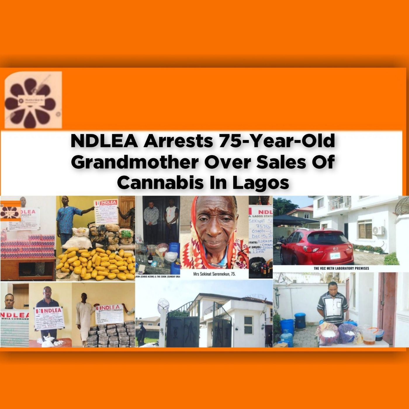 OsazuwaAkonedo Audio ~ NDLEA Arrests 75-Year-Old Grandmother Over Sales Of Cannabis In Lagos ~ OsazuwaAkonedo