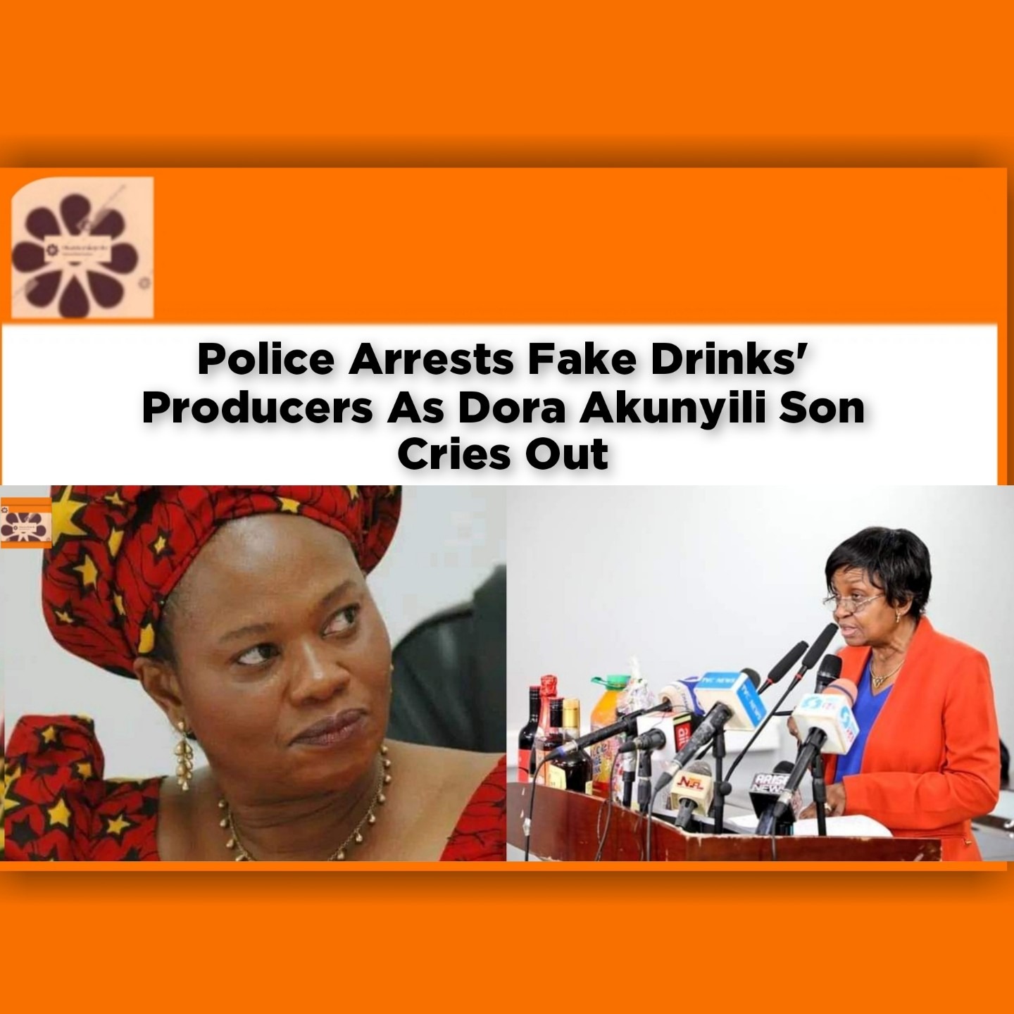 Police Arrests Fake Drinks’ Producers As Dora Akunyili Son Cries Out