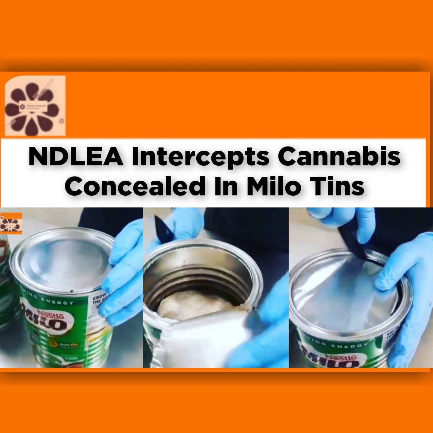 NDLEA Intercepts Cannabis Concealed In Milo Tins ~ OsazuwaAkonedo #Beverage #cannabis #Drugs #Durban #Kano #Lagos #Milo #NDLEA #Nigeria #SouthAfrica #Tins Ibrahim Tanko Muhammad,Supreme Court,CJN
