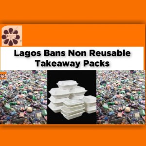 Lagos Bans Non Reusable Takeaway Packs ~ OsazuwaAkonedo #Drainage #Lagos #Packs #Plastic #Styrofoam #Takeaways