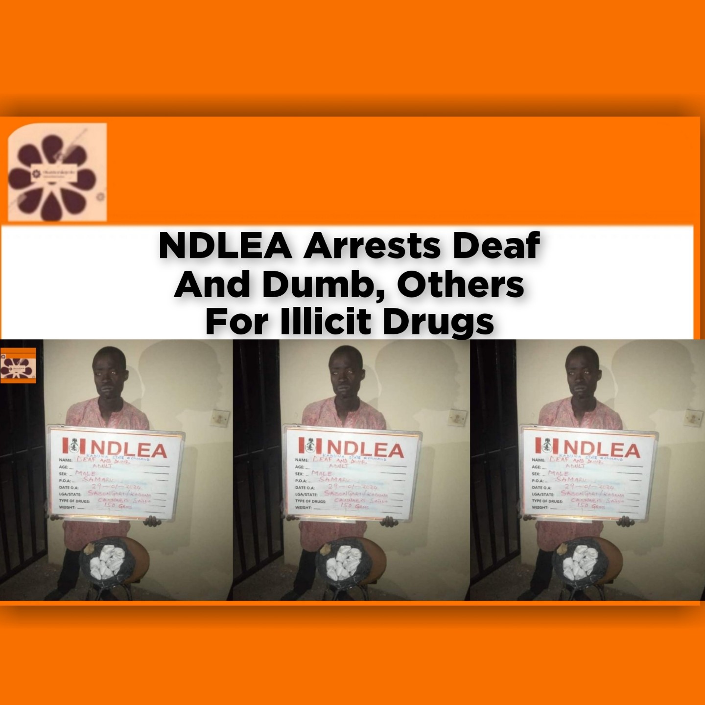 NDLEA Arrests Deaf And Dumb, Others For Illicit Drugs ~ OsazuwaAkonedo #Abuja #cannabis #Drugs #Ghana #Kaduna #Lagos #NDLEA #Nigeria