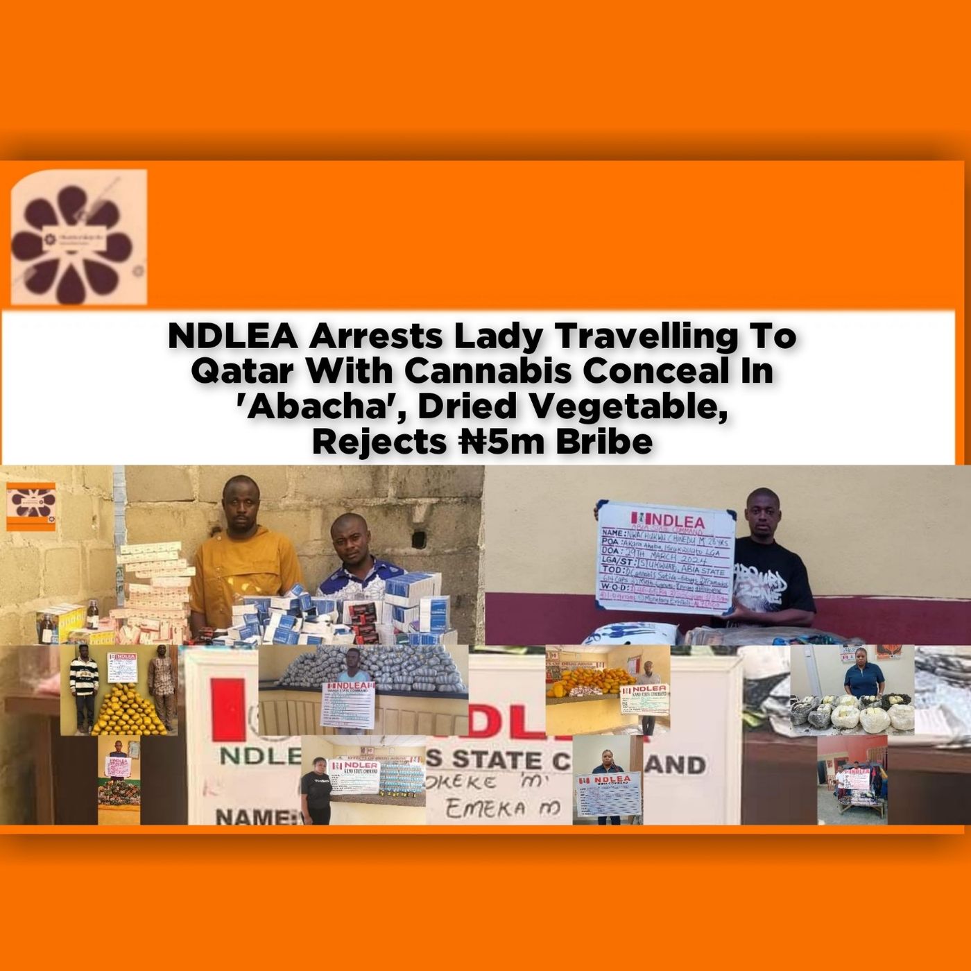 NDLEA Arrests Lady Travelling To Qatar With Cannabis Conceal In 'Abacha', Dried Vegetable, Rejects ₦5m Bribe ~ OsazuwaAkonedo