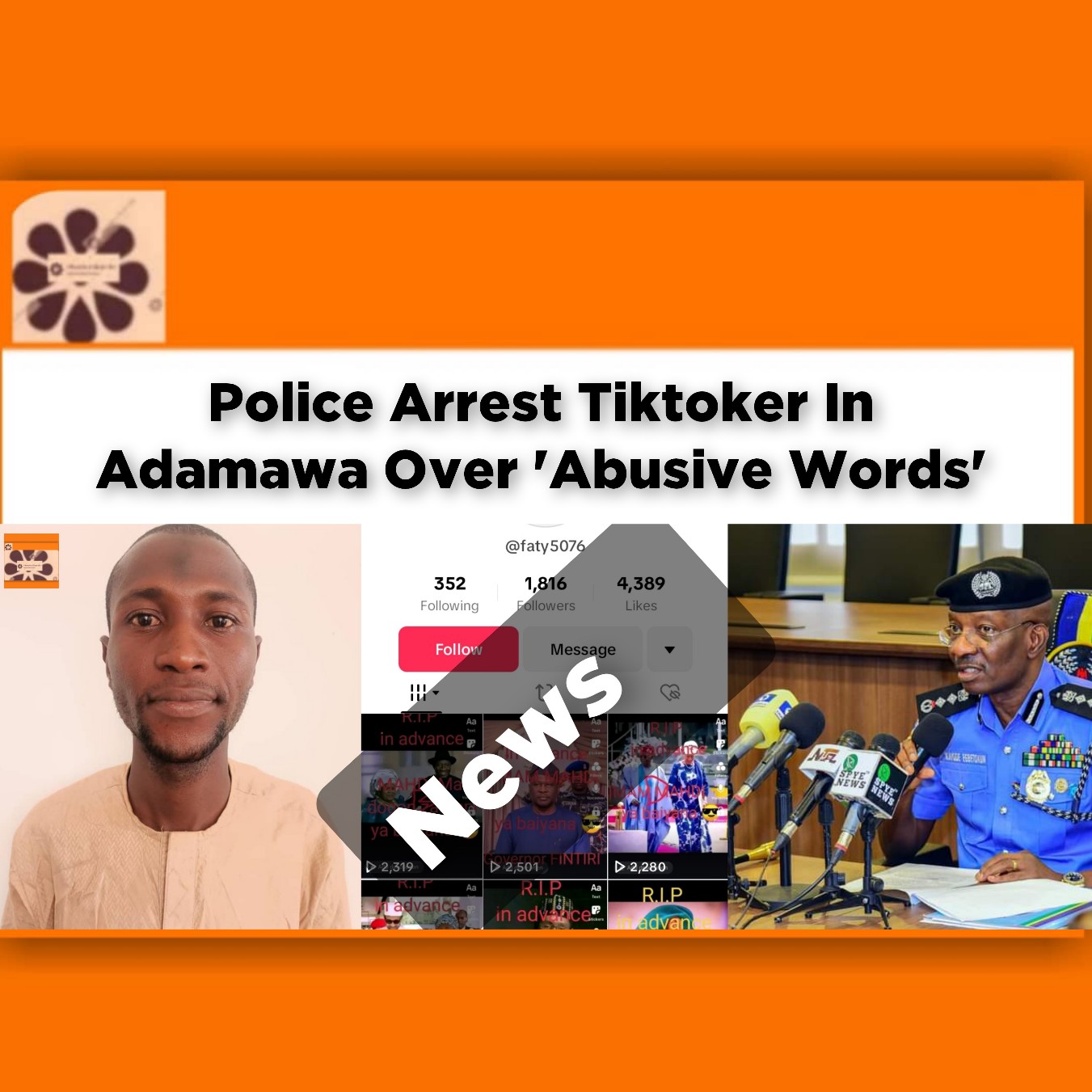 Police Arrest Tiktoker In Adamawa Over 'Abusive Words' ~ OsazuwaAkonedo #PEPC