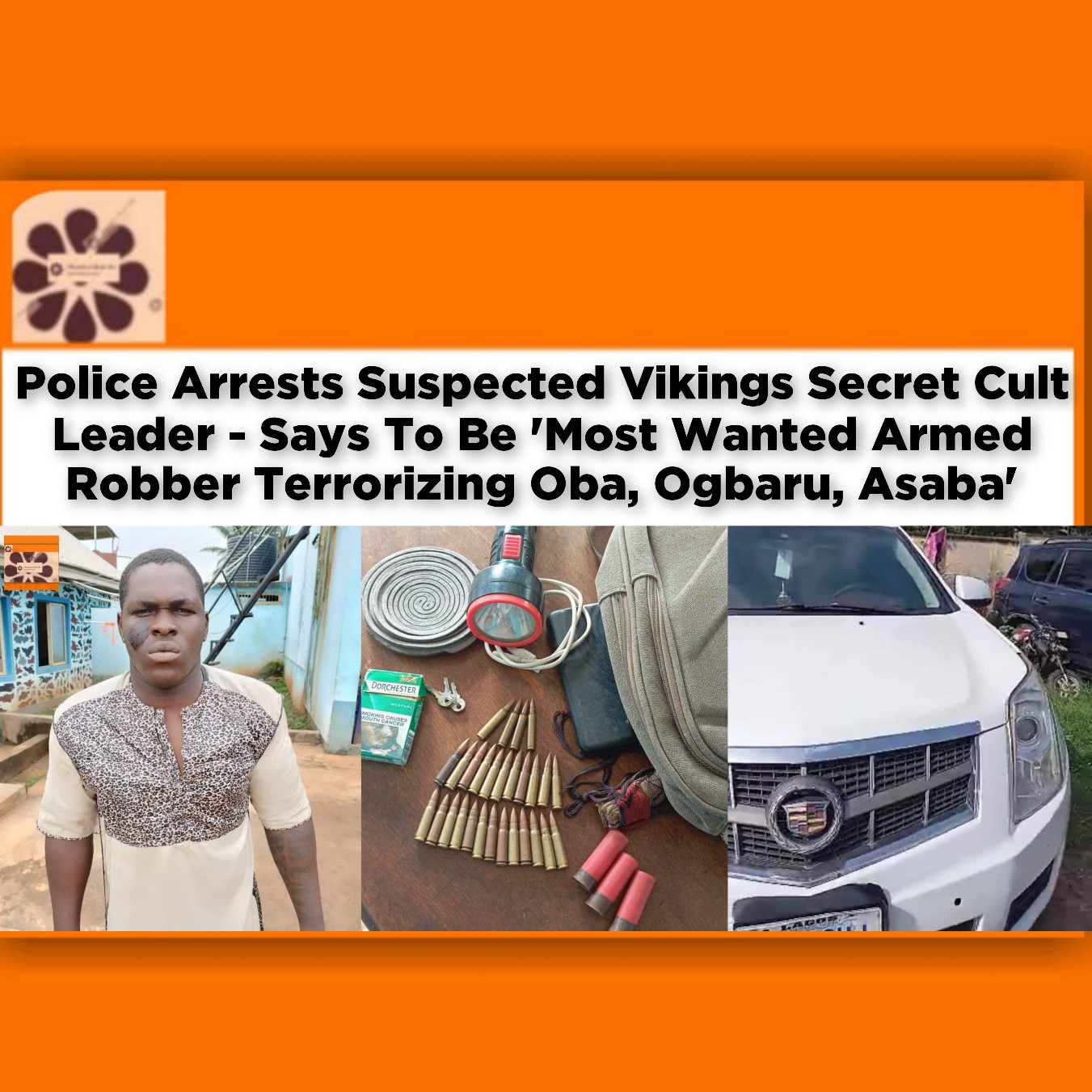 Police Arrests Suspected Vikings Secret Cult Leader - Says To Be 'Most Wanted Armed Robber Terrorizing Oba, Ogbaru, Asaba'