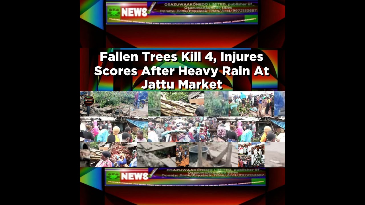 OsazuwaAkonedo Podcast Video ~ Fallen Trees Kill 4, Injures Scores After Heavy Rain At Jattu Market ~ OsazuwaAkonedo