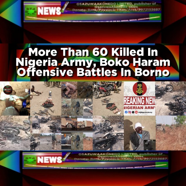 More Than 60 Killed In Nigeria Army, Boko Haram Offensive Battles In Borno