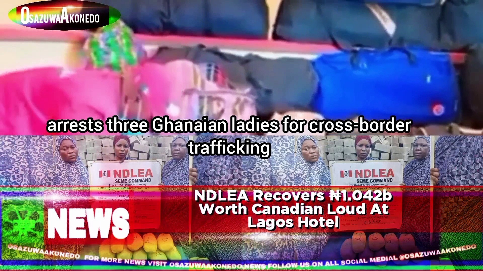 Video ~ NDLEA Recovers ₦1.042b Worth Canadian Loud At Lagos Hotel