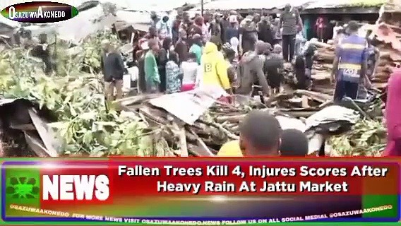 Video ~ Fallen Trees Kill 4, Injures Scores After Heavy Rain At Jattu Market ~ OsazuwaAkonedo