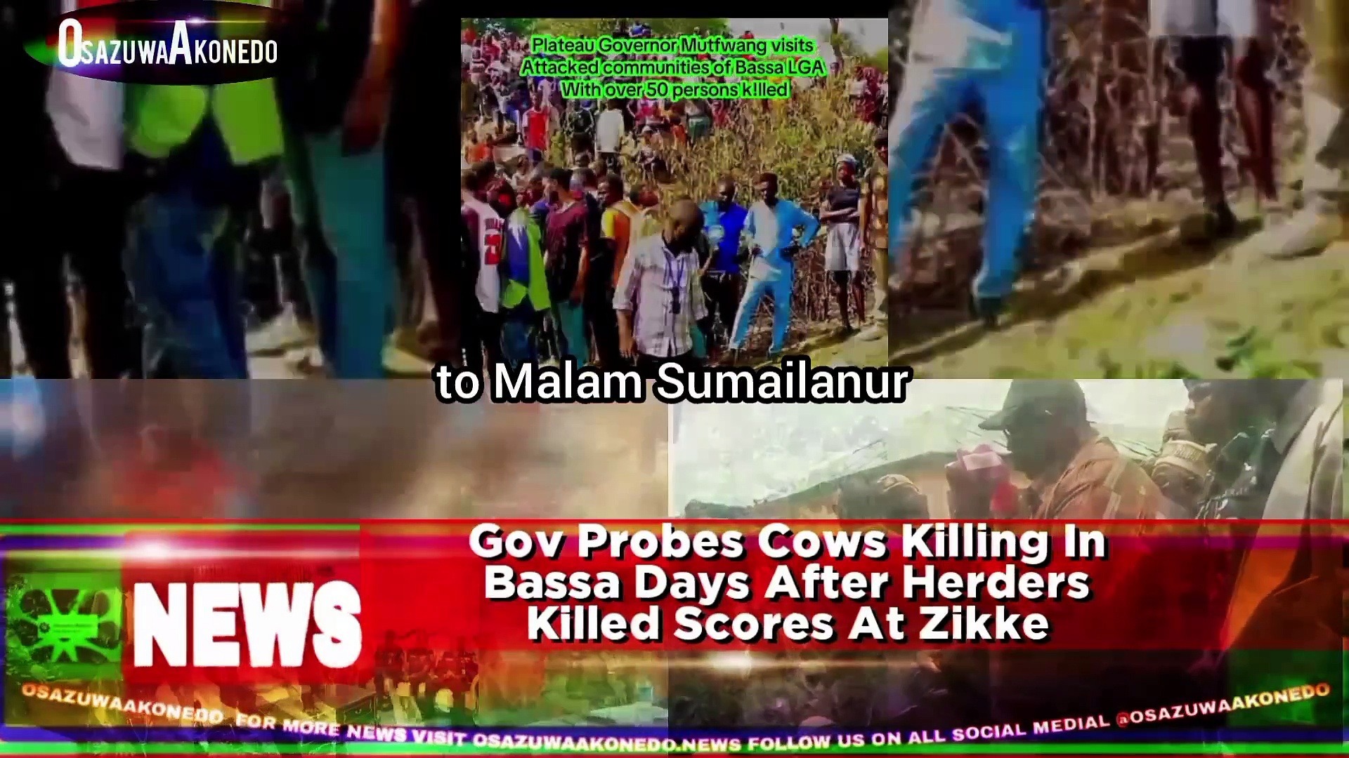 Video ~ Gov Probes Cows Killing In Bassa Days After Herders Killed Scores At Zikke