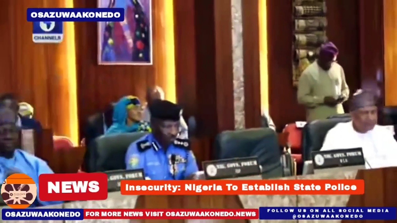 Video ~ Insecurity: Nigeria To Establish State Police ~ OsazuwaAkonedo