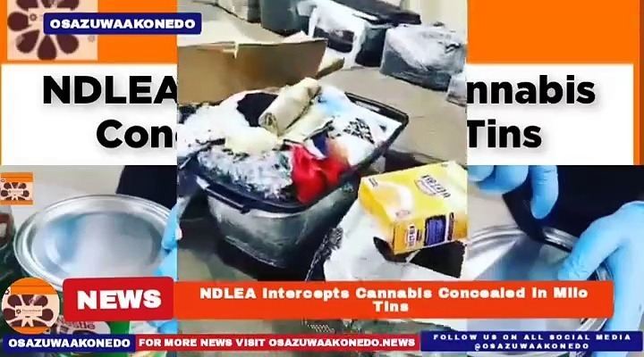 Video ~ NDLEA Intercepts Cannabis Concealed In Milo Tins ~ OsazuwaAkonedo