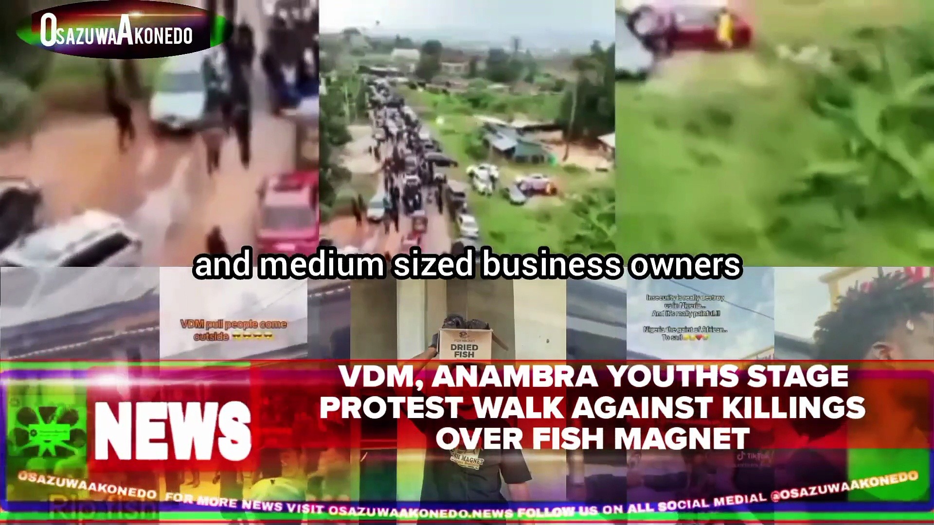 Video ~ VDM, Anambra Youths Stage Protest Walk Against Killings Over Fish Magnet