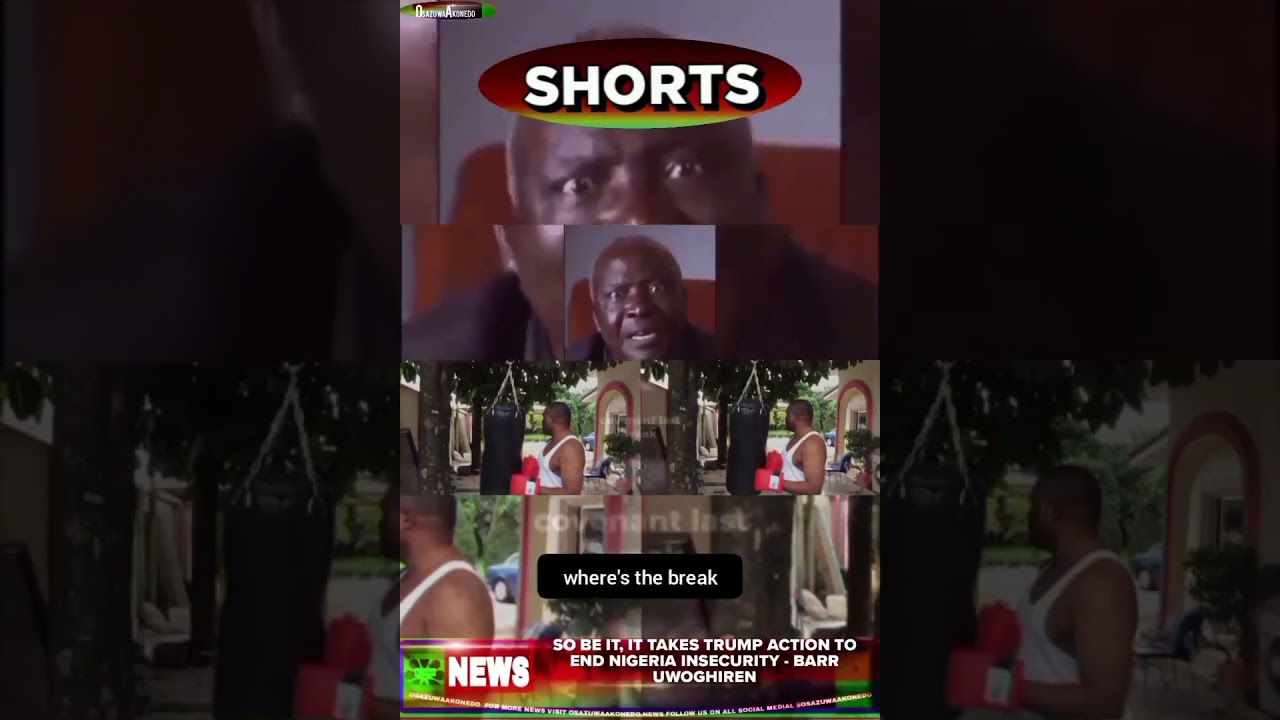 OsazuwaAkonedo Shorts ~ NewsShorts @9pm 4 11