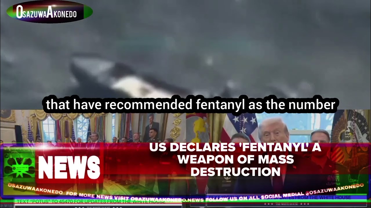 OsazuwaAkonedo ShortReel ~ US Declares 'Fentanyl' A Weapon Of Mass Destruction