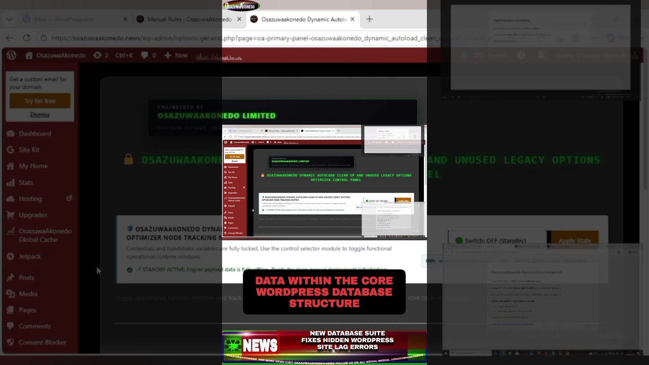OsazuwaAkonedo NinetySeconds ~ New Database Suite Fixes Hidden WordPress Site Lag Errors