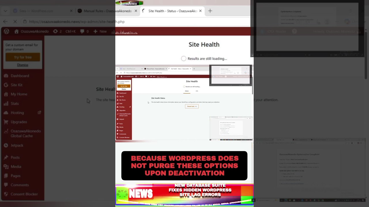 OsazuwaAkonedo ThreeMinutes ~ New Database Suite Fixes Hidden WordPress Site Lag Errors