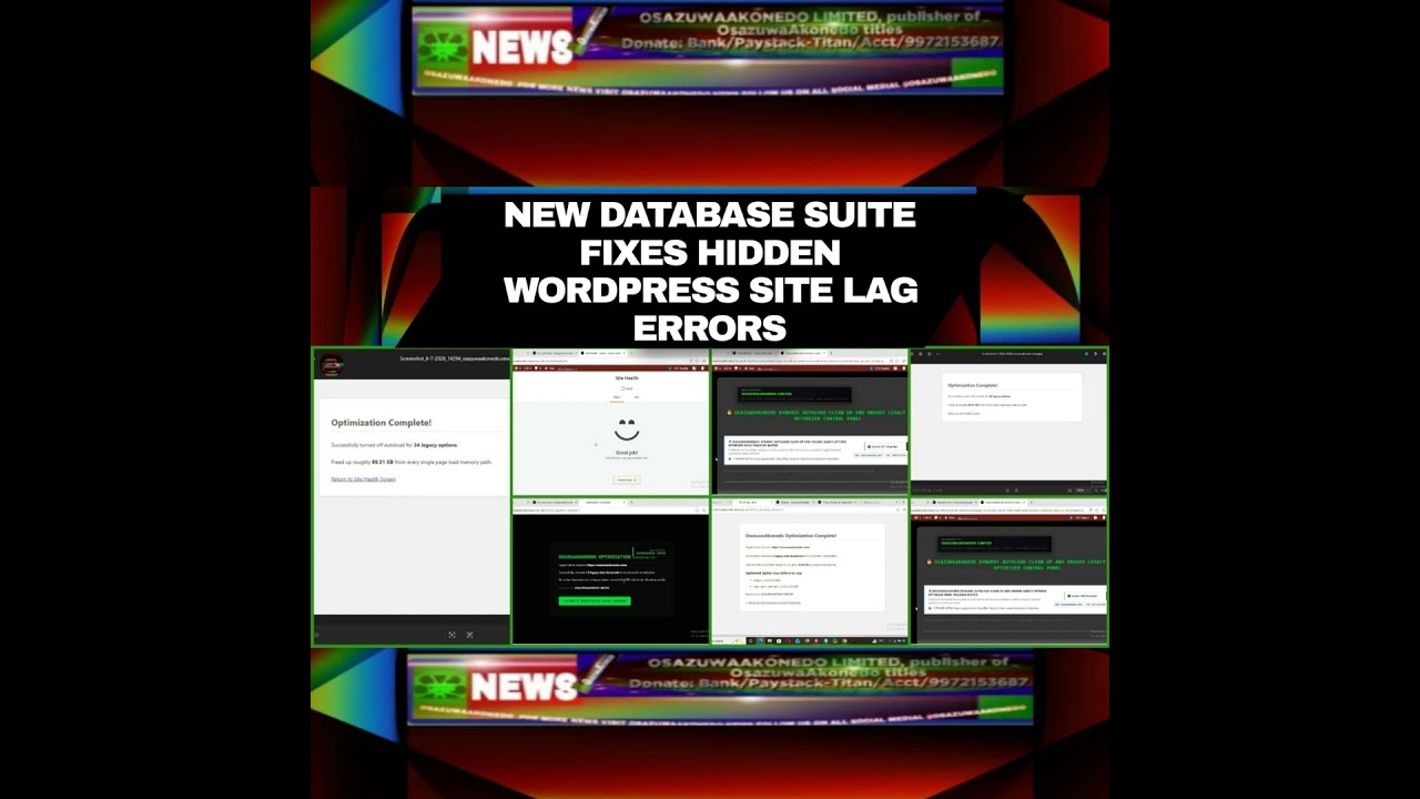 OsazuwaAkonedo NewsChronicles ~ New Database Suite Fixes Hidden WordPress Site Lag Errors