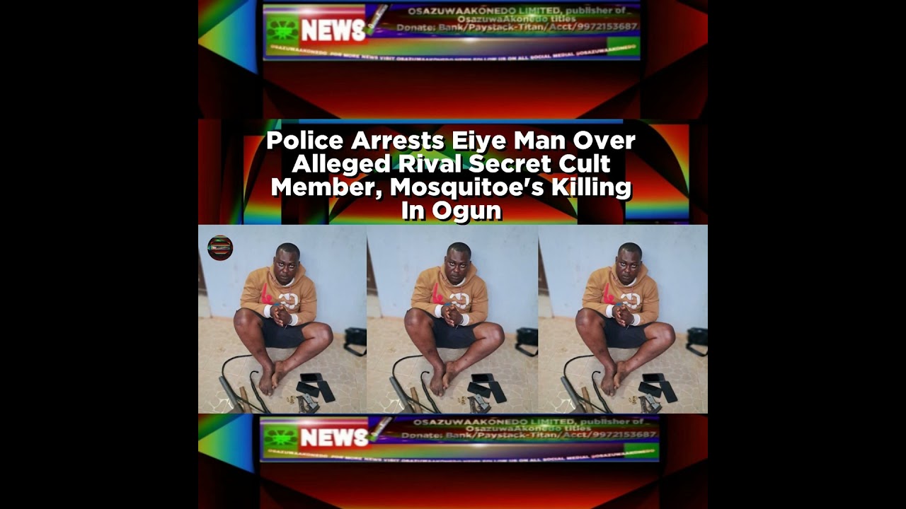 OsazuwaAkonedo NewsChronicles ~ Police Arrests Eiye Man Over Alleged Rival Secret Cult Member, Mosquitoe’s Killing In Ogun ~ Osaz…