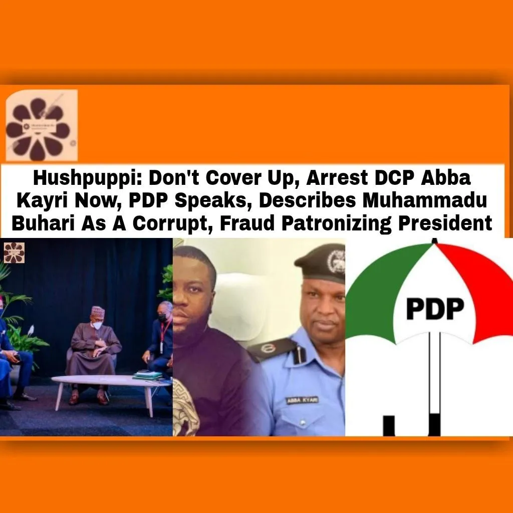 Hushpuppi: Don't Cover Up, Arrest DCP Abba Kayri Now, PDP Speaks, Describes Muhammadu Buhari As A Corrupt, Fraud Patronizing President ~ OsazuwaAkonedo #APC #FBI #Hushpuppi #Igp #PDP #USA