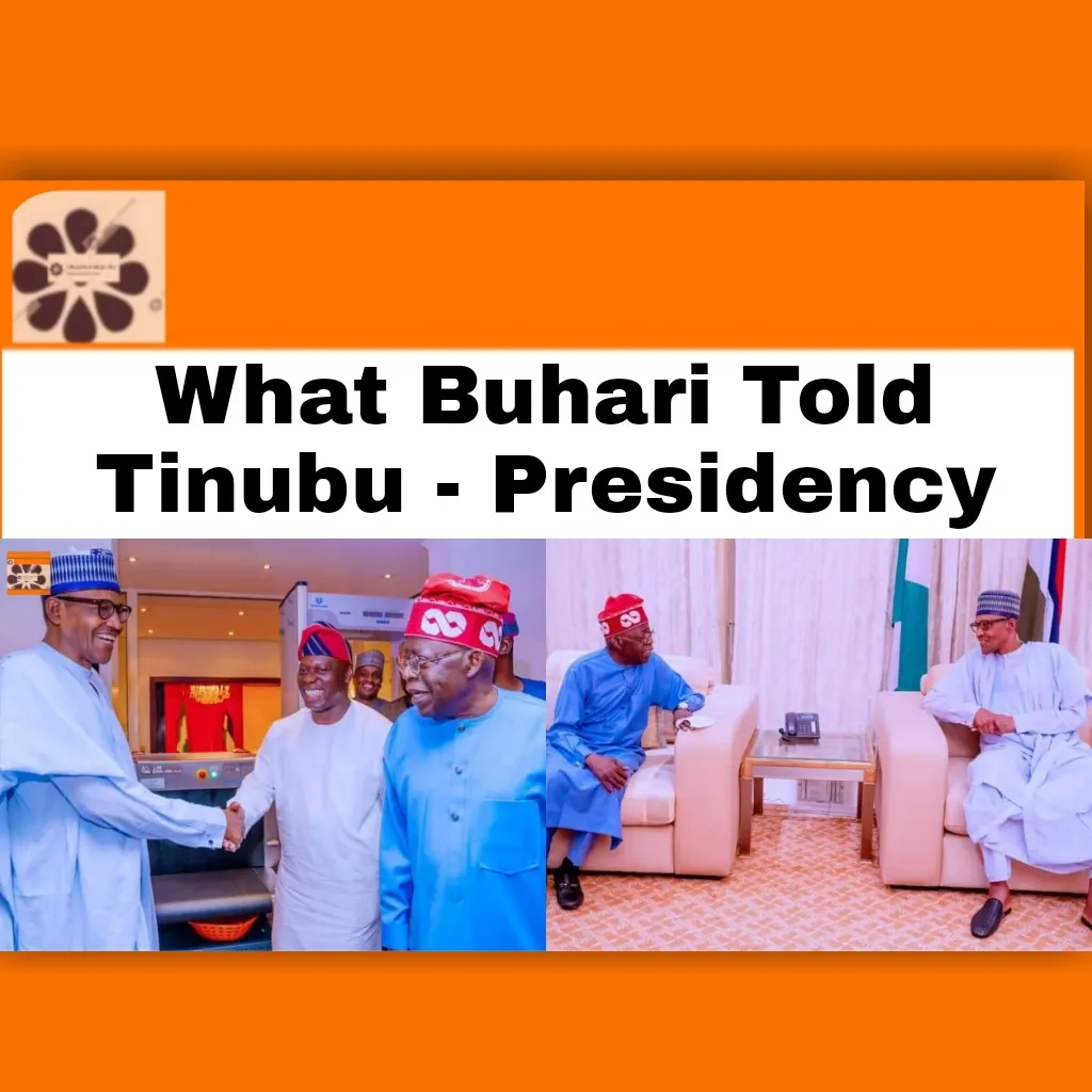 What Buhari Told Tinubu - Presidency ~ OsazuwaAkonedo #2023Election #Africa #APC #BolaAhmedTinubu #Buhari #economy #government #job #Nigeria #Nigerian #Presidency #President