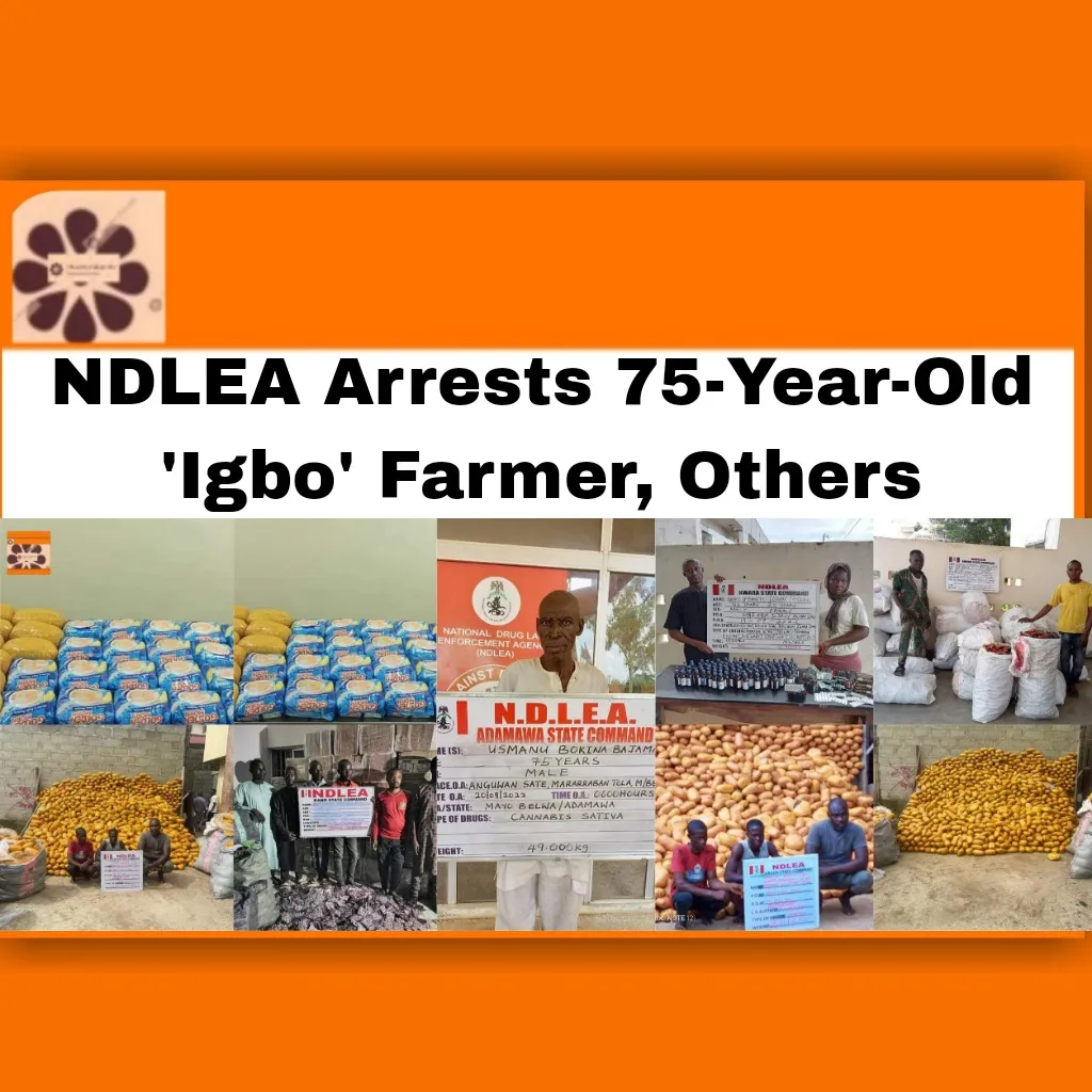 NDLEA Arrests 75-Year-Old 'Igbo' Farmer, Others ~ OsazuwaAkonedo #Abubakar #Enugu #Nigeria #North #security #cannabis #edo #Farmer #igbo #NDLEA #Sativa