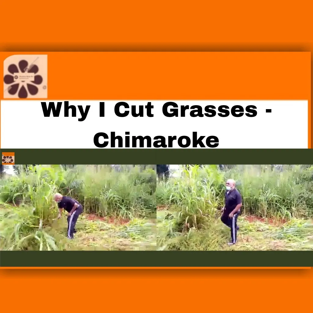 Why I Cut Grasses - Chimaroke ~ OsazuwaAkonedo #2023Election #APC #Chimaroke #Enugu #Nnamani #Abubakar #Atiku #LP #Obi #Obidients #PCC #PDP #Peter #Tinubu
