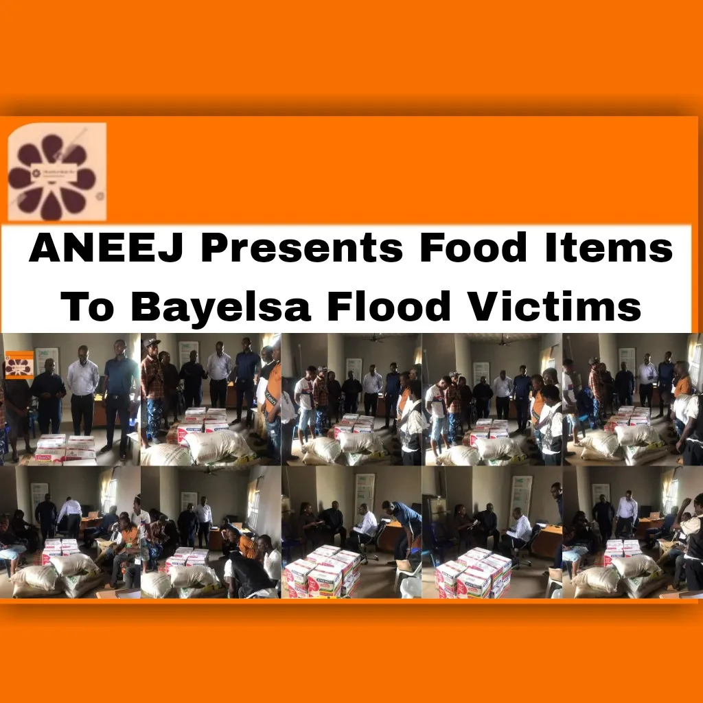 ANEEJ Presents Food Items To Bayelsa Flood Victims ~ OsazuwaAkonedo #ANEEJ #Bayelsa #David #Ugolor #UK