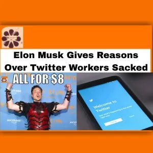 Elon Musk Give Reasons Over Twitter Workers Sacked ~ OsazuwaAkonedo #Umahi