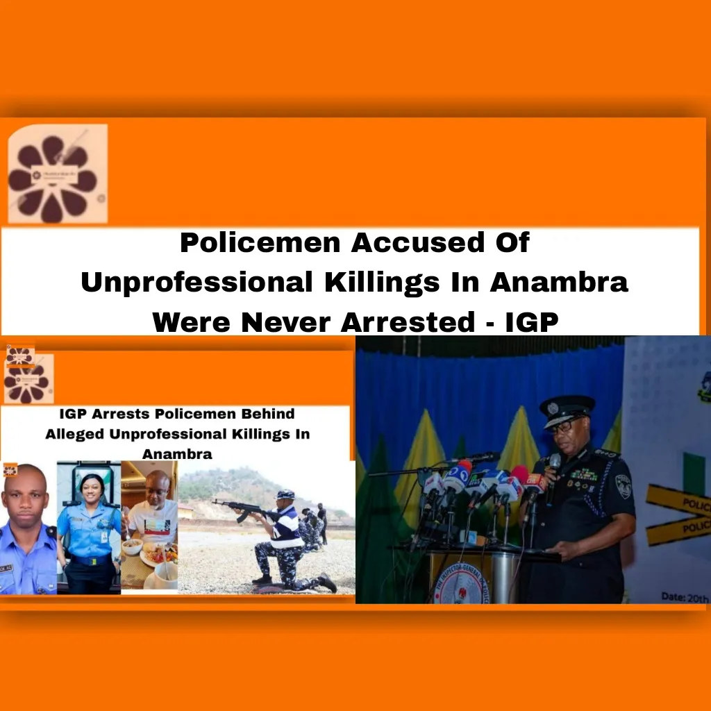Policemen Accused Of Unprofessional Killings In Anambra Were Never Arrested – IGP