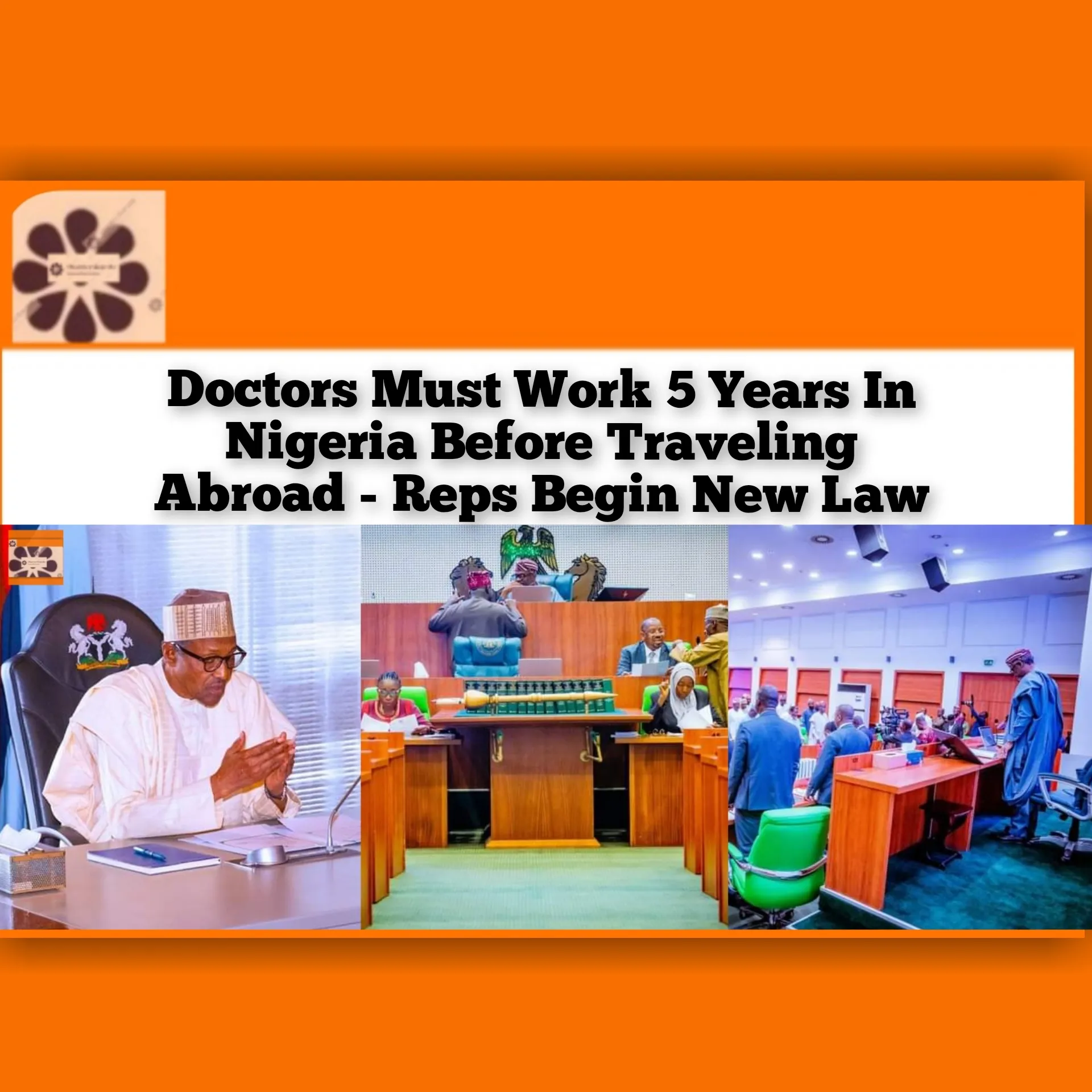 Doctors Must Work 5 Years In Nigeria Before Traveling Abroad - Reps Begin New Law ~ OsazuwaAkonedo #Doctors #Japa #job #Medical #Nigeria #Reps #traveling