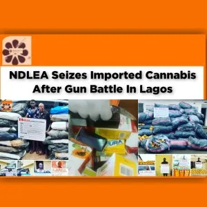 NDLEA Seizes Imported Cannabis After Gun Battle In Lagos ~ OsazuwaAkonedo #Ekeututu