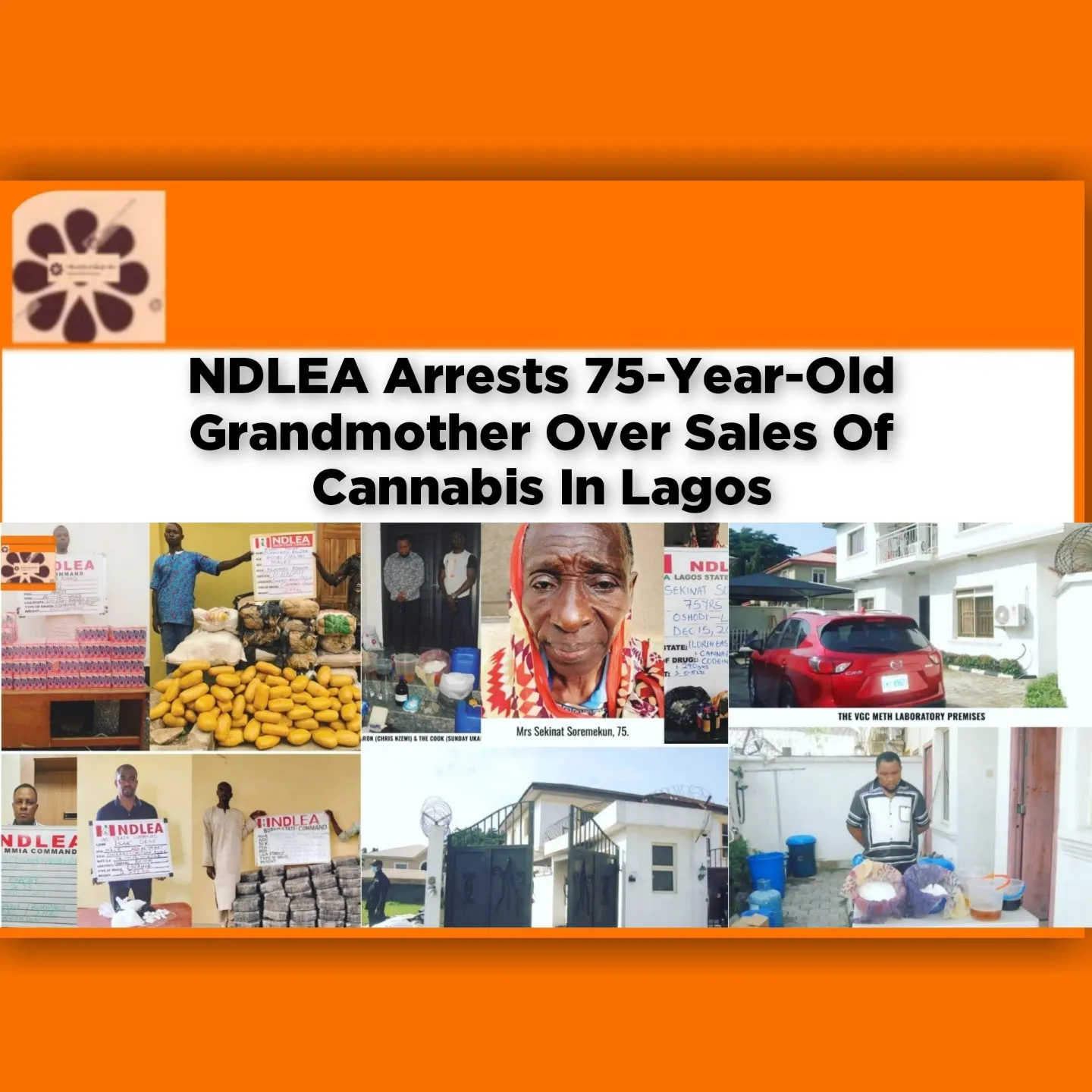NDLEA Arrests 75-Year-Old Grandmother Over Sales Of Cannabis In Lagos ~ OsazuwaAkonedo #cannabis #Grandma #Lagos #NDLEA #OsazuwaAkonedo