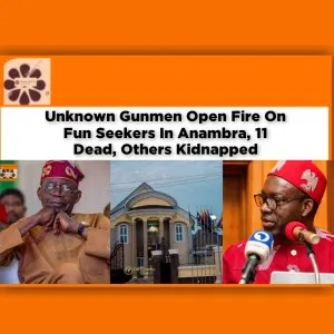Unknown Gunmen Open Fire On Fun Seekers In Anambra, 11 Dead, Others Kidnapped ~ OsazuwaAkonedo #America