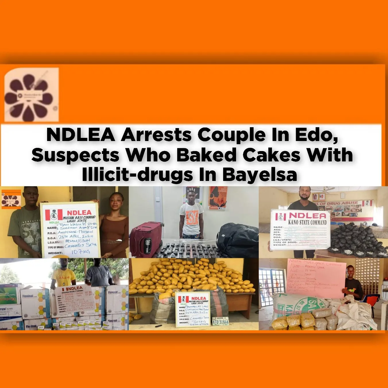 NDLEA Arrests Couple In Edo, Suspects Who Baked Cakes With Illicit-drugs In Bayelsa ~ OsazuwaAkonedo #Bayelsa #Cakes #cannabis #Iruekpen #NDLEA