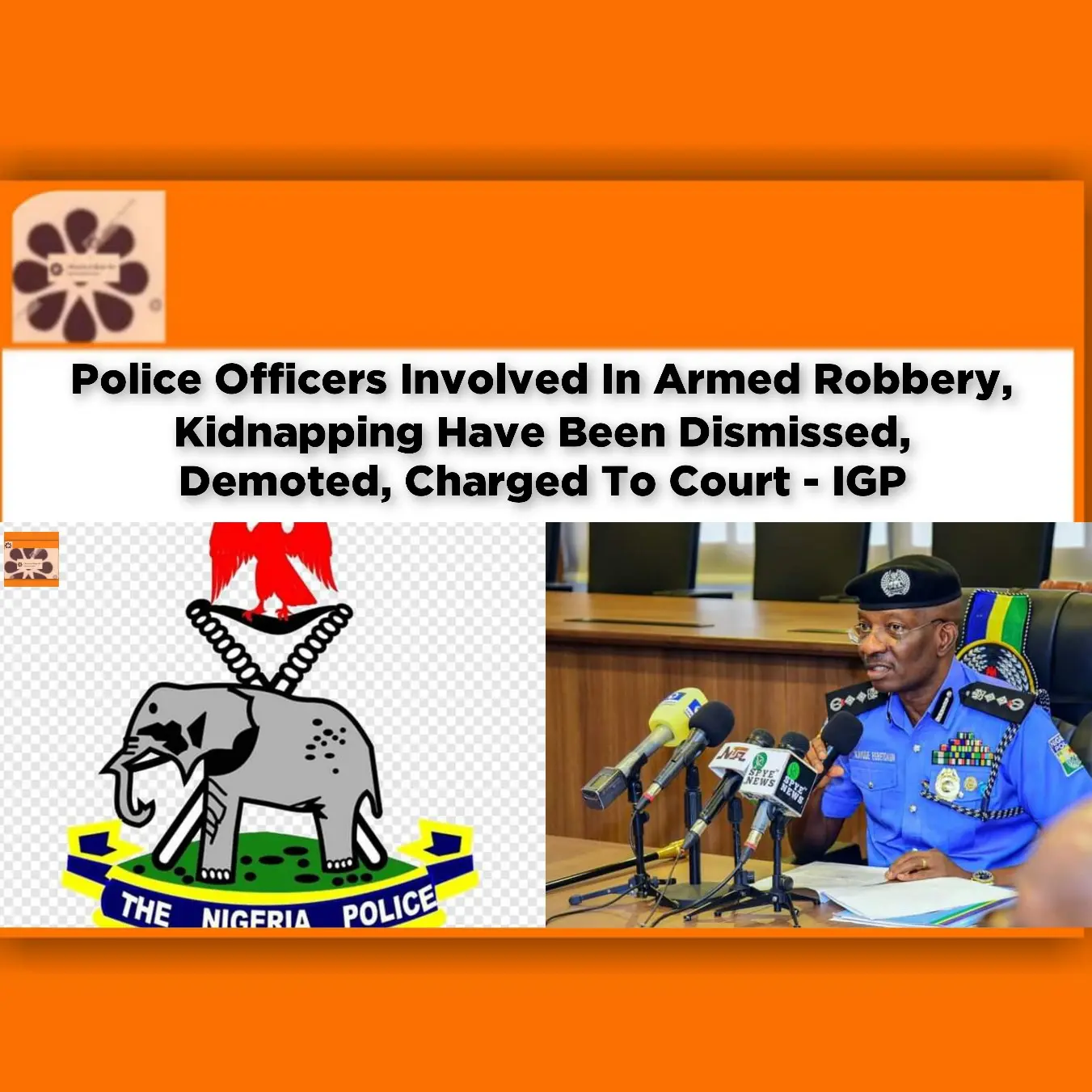Police Officers Involved In Armed Robbery, Kidnapping Have Been Dismissed, Demoted, Charged To Court - IGP ~ OsazuwaAkonedo #Abubakar